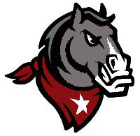 meanmustang.jpg